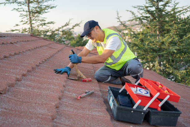 Best Metal Roofing Contractor  in Derby, CT